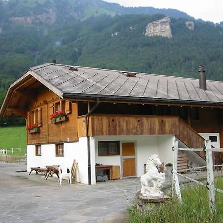 Eichhof Brienzwiler Berner Oberlandヴィラ エクステリア 写真